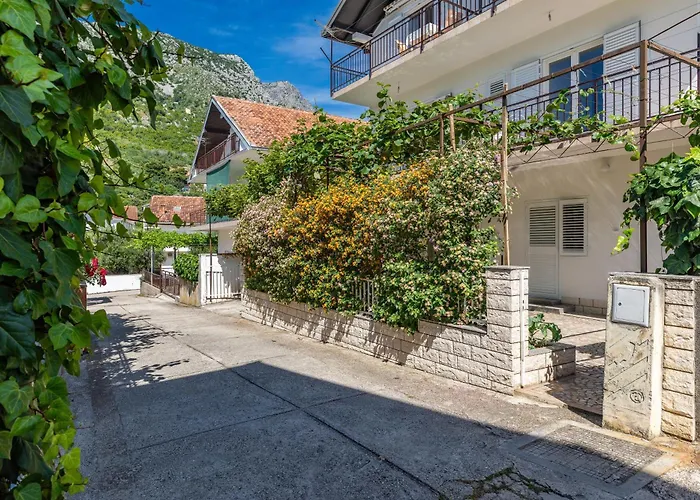 516a Apartmán *