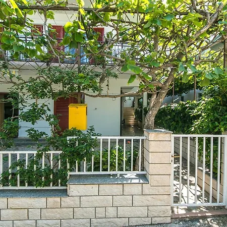 516a Podaca